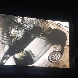 ����, �������, 44 ����