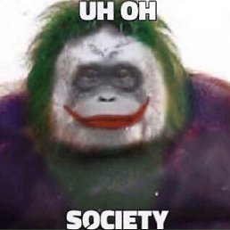 , , 41 
