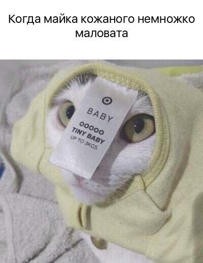    - 26  2024  20:36