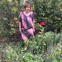 ���� �����, ���, 66 ��� - ��������� 29 ��� 2026 � ������ ���� ����������