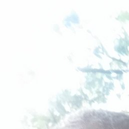 �������, ������, 37 ���