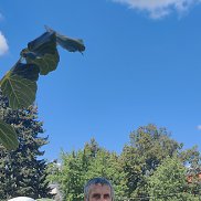 Viktor, 64 , 