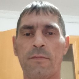 �������, ���������, 41 ���