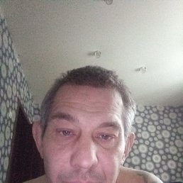 ������, 41 ���, ������