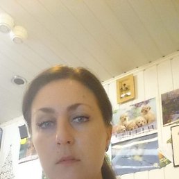 ���� �_�����, ����������� - ��������� 21 ���� 2026