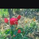 ���� ���� /�����������, ������-��-����, 58 ��� - ��������� 10 ��� 2026 � ������ ���� ����������