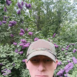 ������, ��������, 33 ����