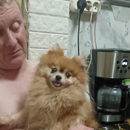 ����, ���������, 47 ���