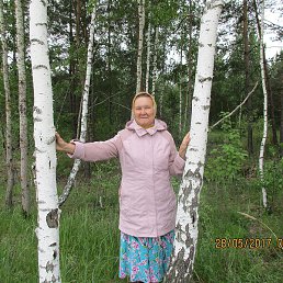 ��������, ���������, 66 ���