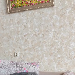 ���������, ������, 60 ���