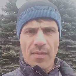 �����, �����, 55 ���