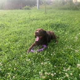 ���� �����, ������, 55 ��� - ��������� 19 ������� 2025