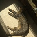 ���� �������, �����, 48 ��� - ��������� 2 �������� 2025 � ������ ������ ��������