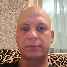 ,  , 40 