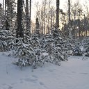 ���� �����, �������� - ��������� 31 ������� 2023 � ������ ���� ����������