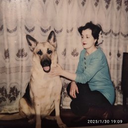 , 49, 