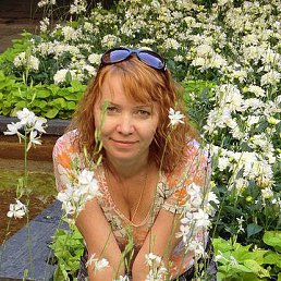 , 59, 