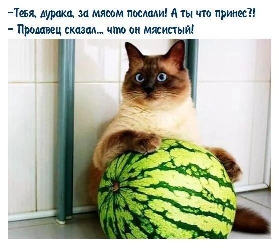  - 10  2024  10:35