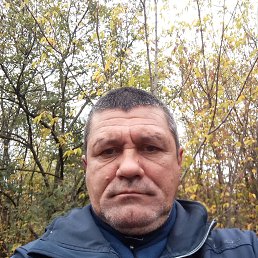 , 45 , 