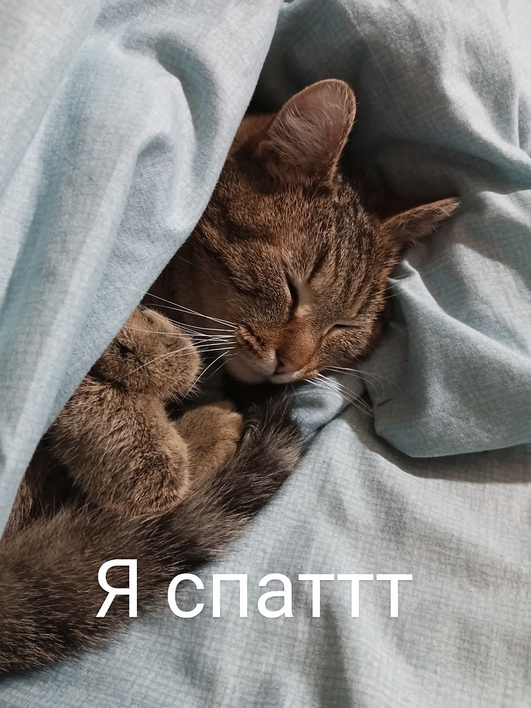       - 9  2025  08:04 - 5