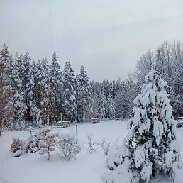 ���� �������, �����-���������, 46 ��� - ��������� 5 ������ 2026