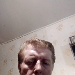 , 53,  