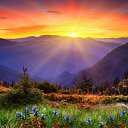 ���� ����, ������, 38 ��� - ��������� 8 ������� 2025 � ������ ���� ����������