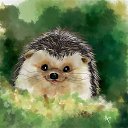 ���� ����, �����-��������� - ��������� 7 ������ 2024