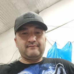 , 41 , 