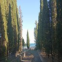 ���� ������, ���������, 63 ���� - ��������� 5 ������ 2026 � ������ ���� ����������