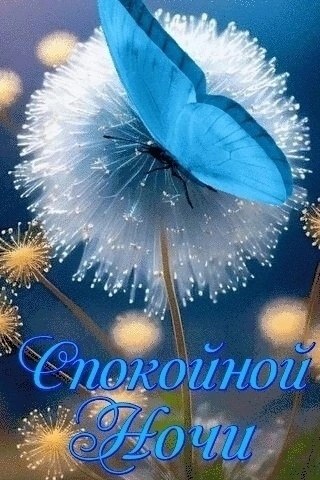   ,    . - 17  2025  20:58 - 2