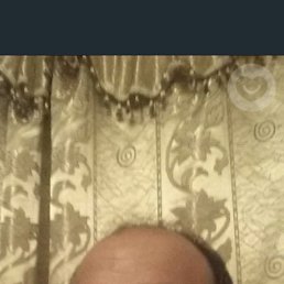 , 51, 