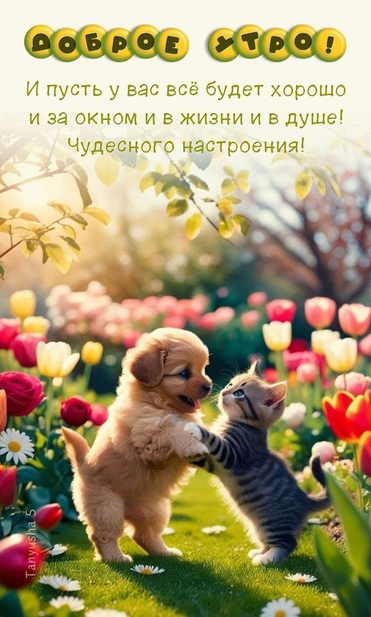 ***Victoria Viktorovna*** - 16  2025  02:34 - 2