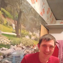 , 41 , 