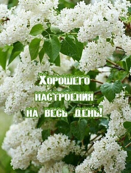  ,    . - 31  2025  09:55