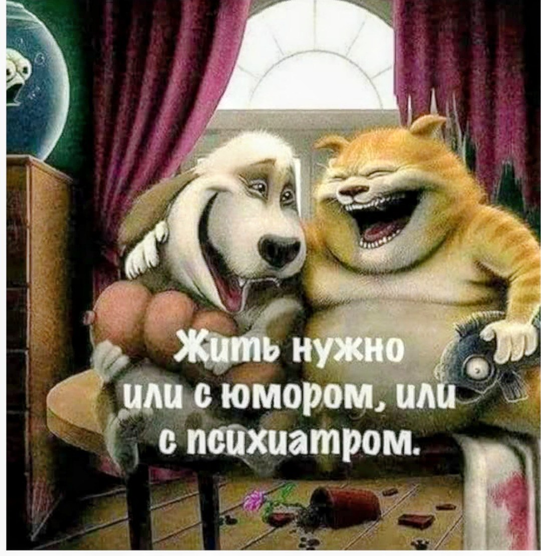 ����� - 12 ������ 2026 � 10:06