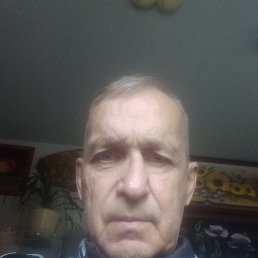 , 62, 