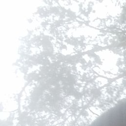 ������, ������, 39 ���