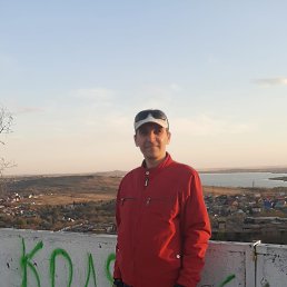 , 41 , 
