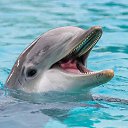 ���� ������, �����, 67 ��� - ��������� 4 ������ 2026