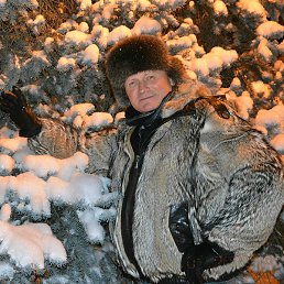 ����, ���������