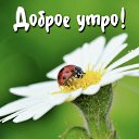 ���� �����, ������� - ��������� 6 ���� 2025 � ������ ���� ����������