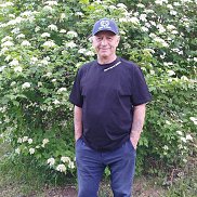 , 62 , 