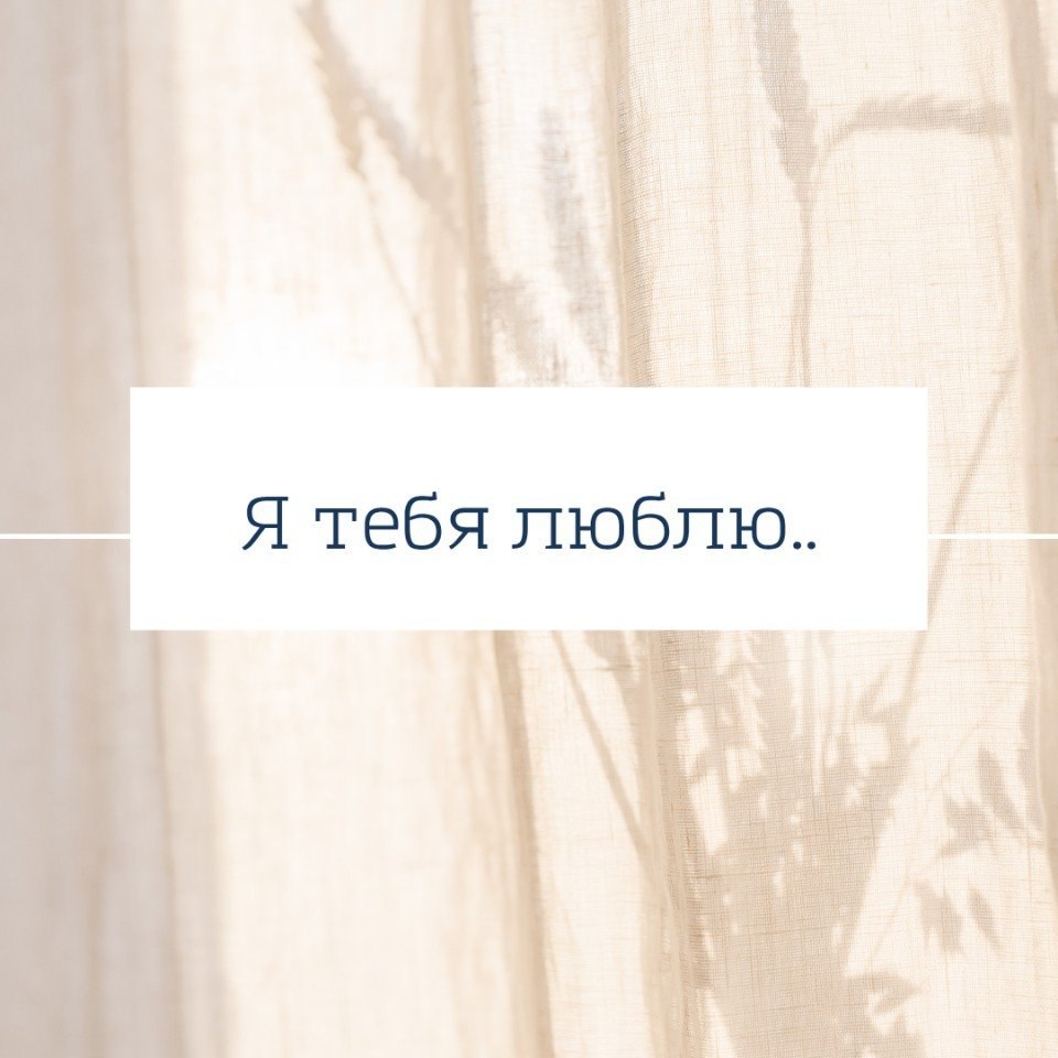   - 11  2025  12:33 - 7