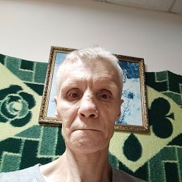  , 51 , 