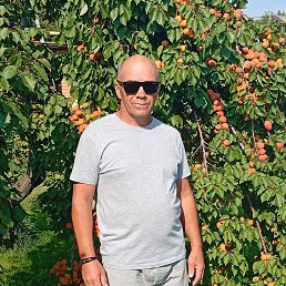 ������, 51 ���, ���