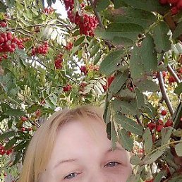 ���� �����, �����������, 37 ��� - ��������� 9 ������ 2026