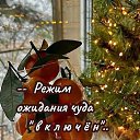 ���� ���, �������� - ��������� 4 ������� 2025 � ������ ������ ��������