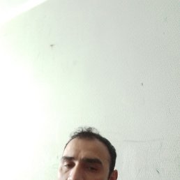 ����, 33 ����, �������