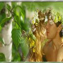 ���� ������, ������, 52 ���� - ��������� 7 ������ 2025 � ������ ���� ����������